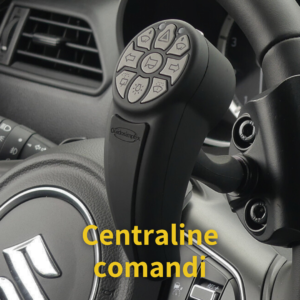 Allestimenti disabili centraline preventivo
