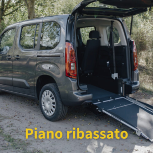 Allestimenti disabili piano ribassato preventivo
